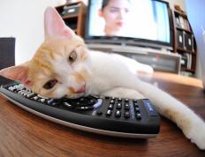 开云下载-巴萨新核闪耀，轻取伊朗友谊赛，凯塞多满分表现诠释中场艺术