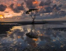 开云体育平台APP-从悬崖边到荣耀之巅，广东队史诗级翻盘，掀翻雄鹿重炮