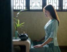 开云体育app-霍勒迪时刻，太阳对阵灰熊，关键连续得分锁定胜局