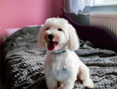 开云体育APP下载-东方黑马横空出世，2026世界杯焦点战，浙江队爆冷击溃火箭军团