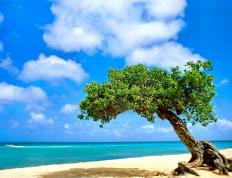 开云体育官网-烽火淬金，深圳队关键战掀翻上海，奥运周期前哨战惊心动魄