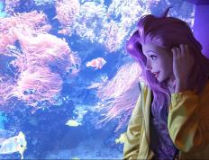 开云体育官网-卢卡库统治全场，佛罗伦萨决胜局带走伊朗