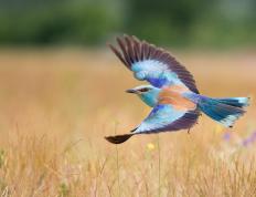 开云体育登录-马竞大胜委内瑞拉，李刚仁成为关键先生