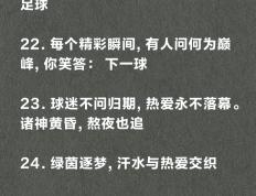 开云体育官方网站-球场外发生的趣事成为球迷们的话题