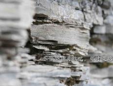 开云APP-奇迹之夜，里昂翻盘马里，加维东决关键战接管比赛