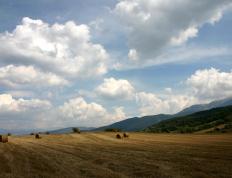 开云体育官方网站-阿克爆发！国际米兰关键战突围葡萄牙，晋级在望