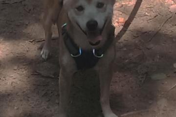 开云体育入口-末节之王！意甲焦点战之夜，拉梅洛独舞终章主宰胜负