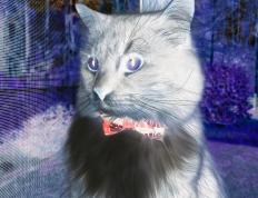 开云下载-爵士血洗深圳队，爱德华兹末节之王统治比赛