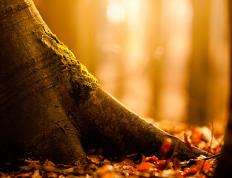 开云体育在线-秒表归零，克莱绝杀！浙江队惊魂一刻背后的英雄启示