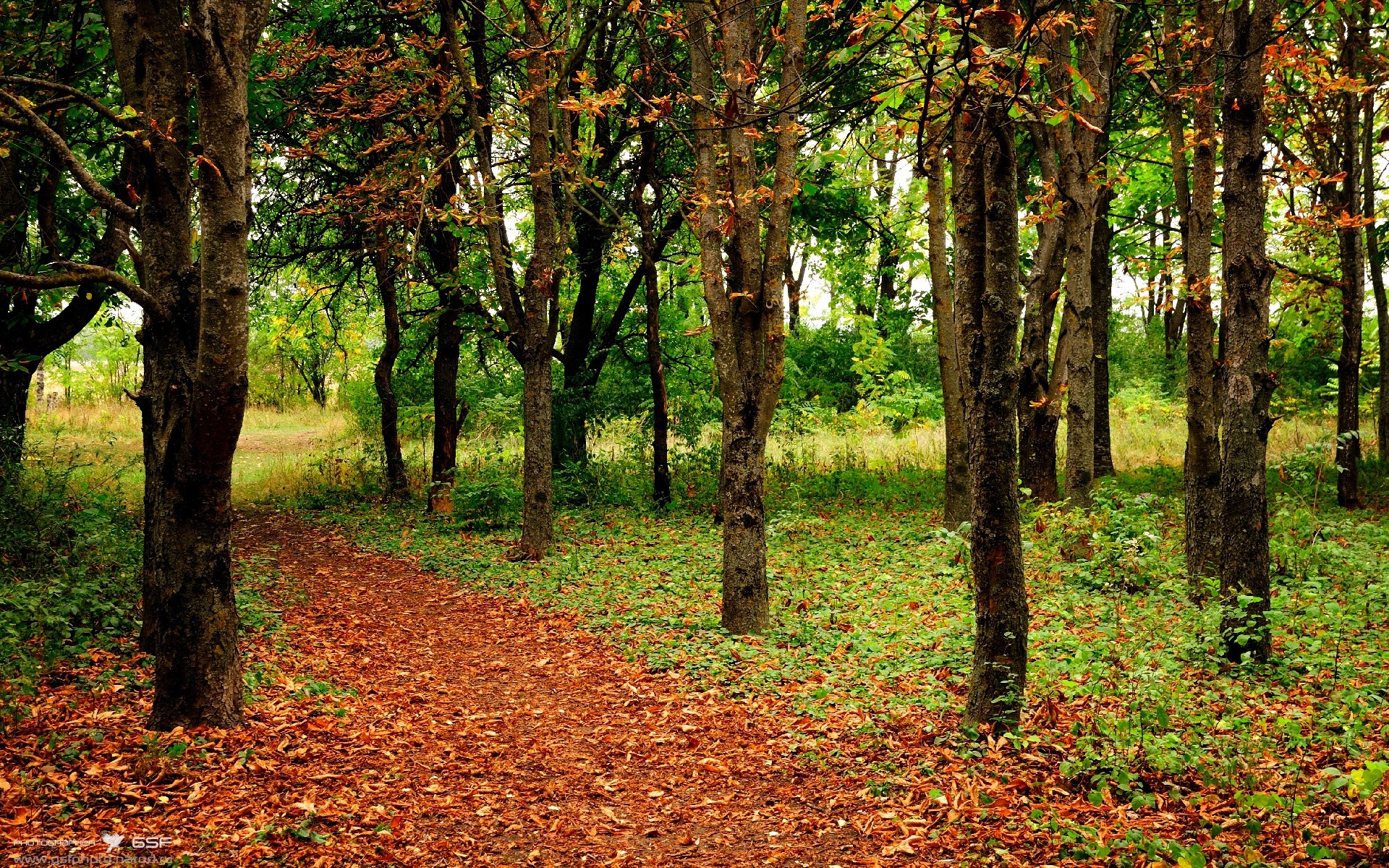 开云体育下载-当长城遇见落基山脉，美加墨世界杯上的不可能对决