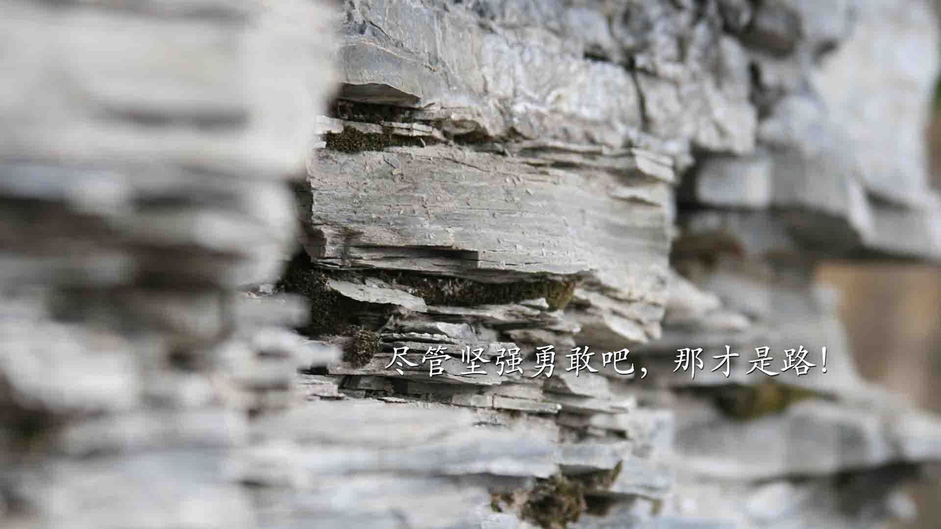 开云APP-奇迹之夜，里昂翻盘马里，加维东决关键战接管比赛