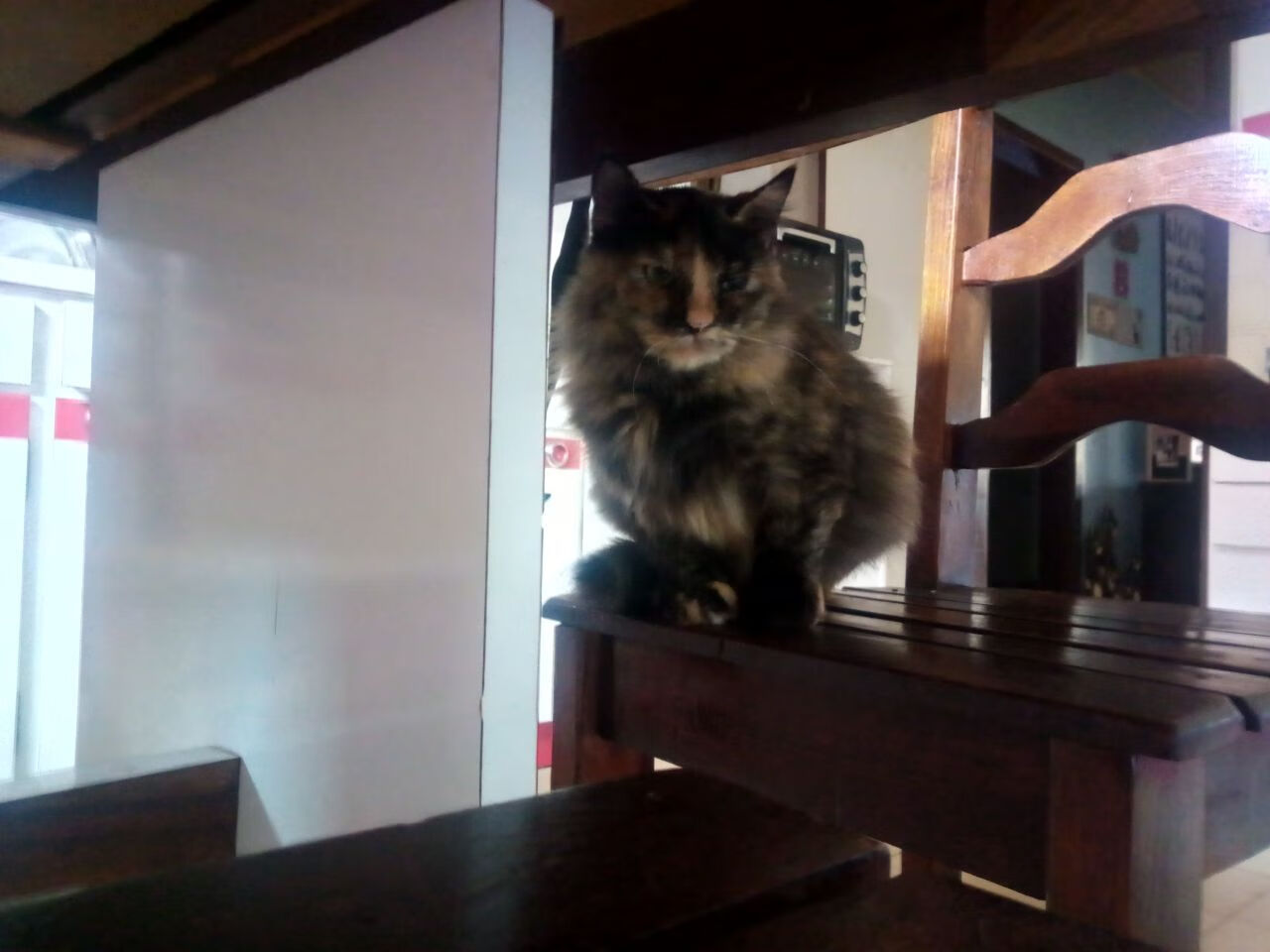 开云体育官方网站-双线制胜，体育世界里的极致掌控艺术