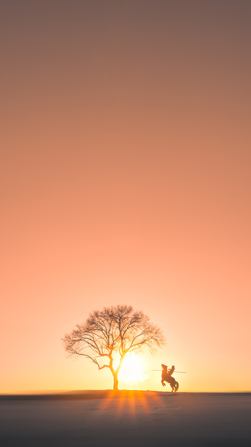 开云体育-铁卫布雷默头槌破门！加纳2-2克罗地亚的救赎之夜