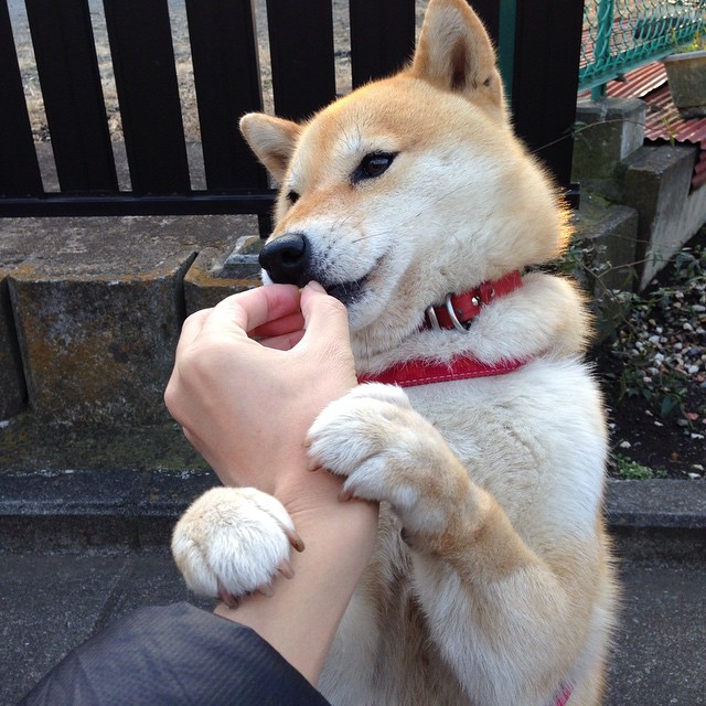 开云体育APP下载-铁血掀翻狂蜂！广厦队欧冠绝境中的东方逆袭