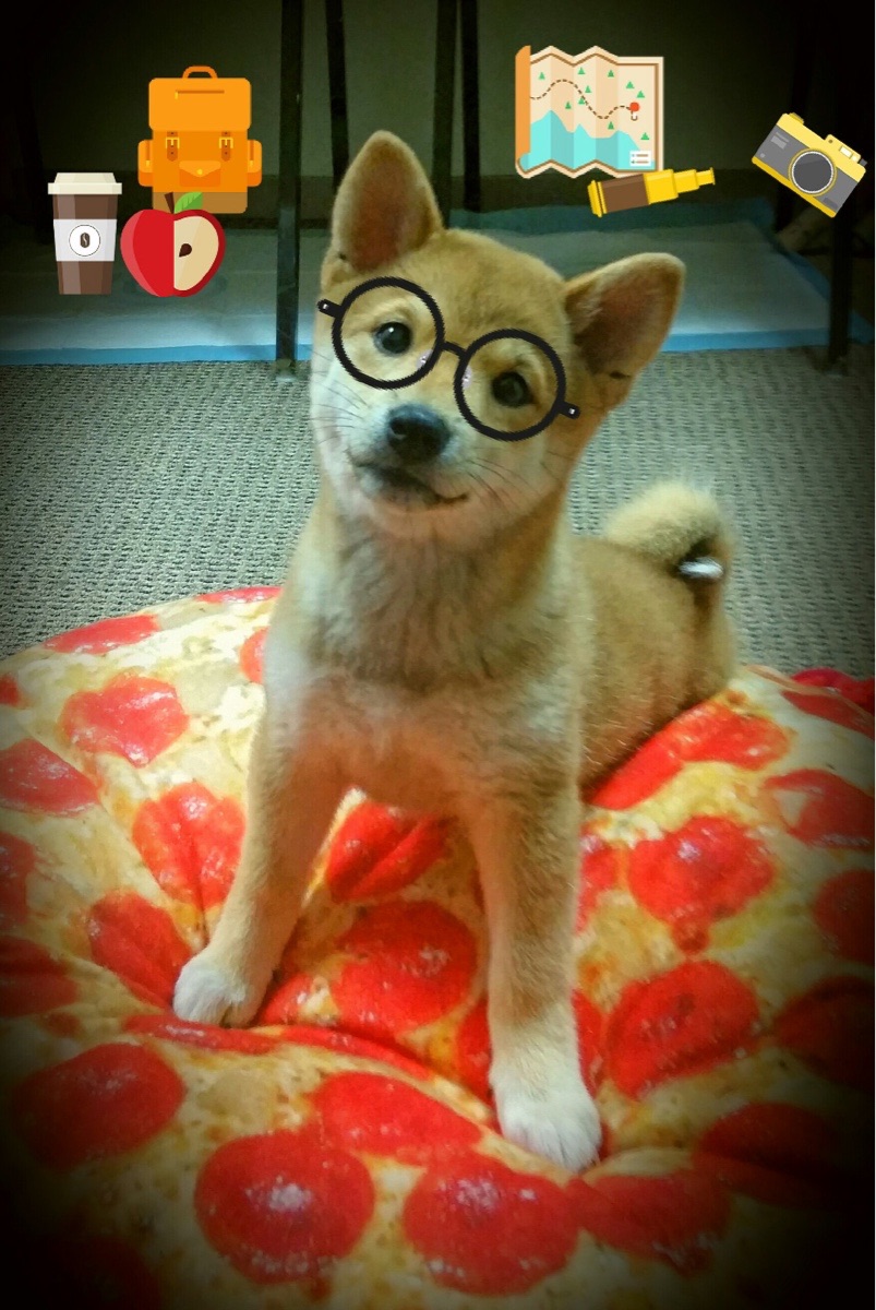 开云体育登录-劳塔罗阴影下的亚洲足球,巴萨击溃韩国背后,全球化足球的华丽与哀愁