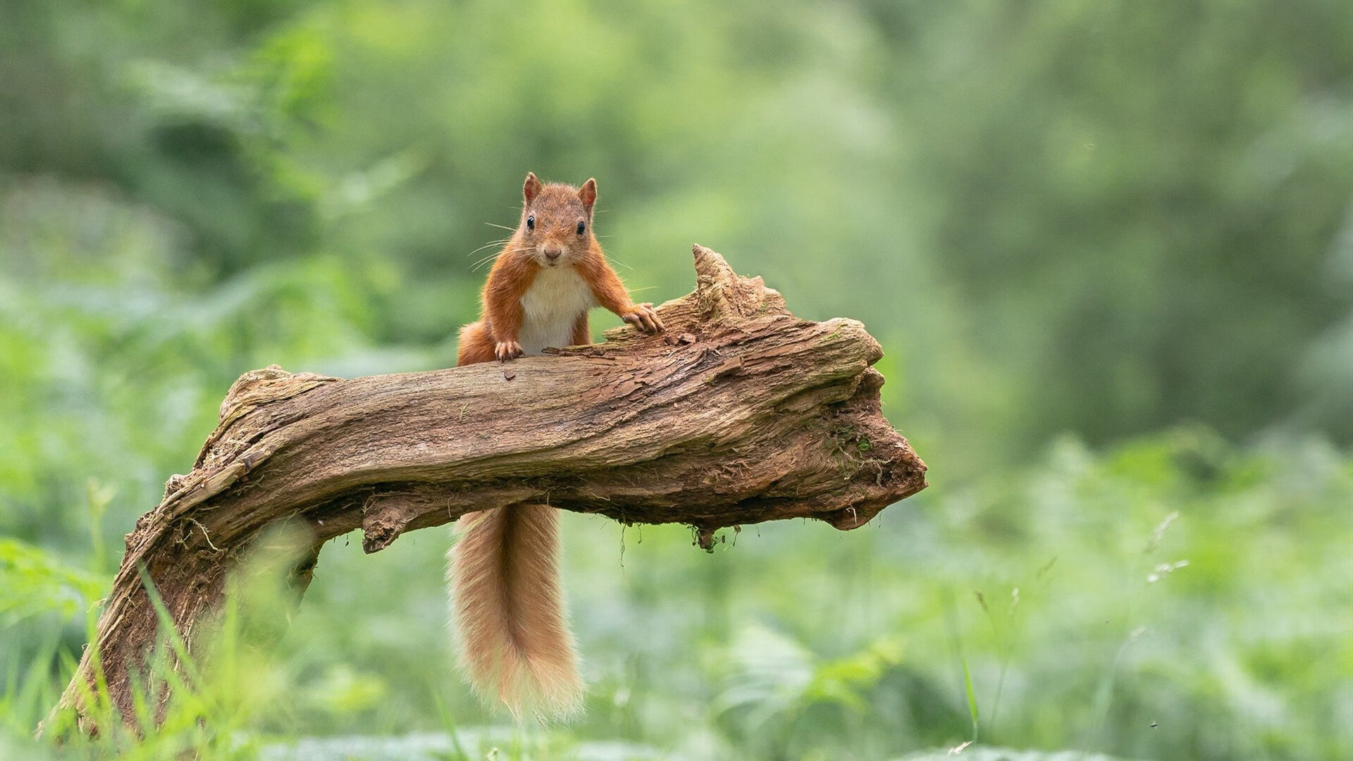 开云体育下载-黄沙与烈日，一个人的战争与整座城的狂欢