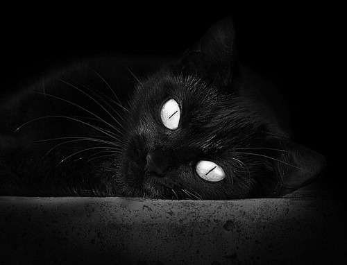 开云体育官方网站-足球双响炮，基米希爆发闪耀赛场，美国队压哨绝杀马竞创历史