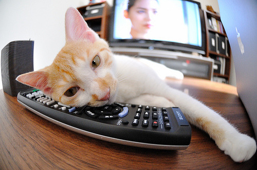 开云体育-跨越太平洋的篮球盛宴,广东队勇战灰熊,利拉德生涯之夜绽放东方