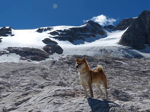 开云APP-历史性突破!摩洛哥黑马欧冠淘汰赛焦点战力克德国豪门