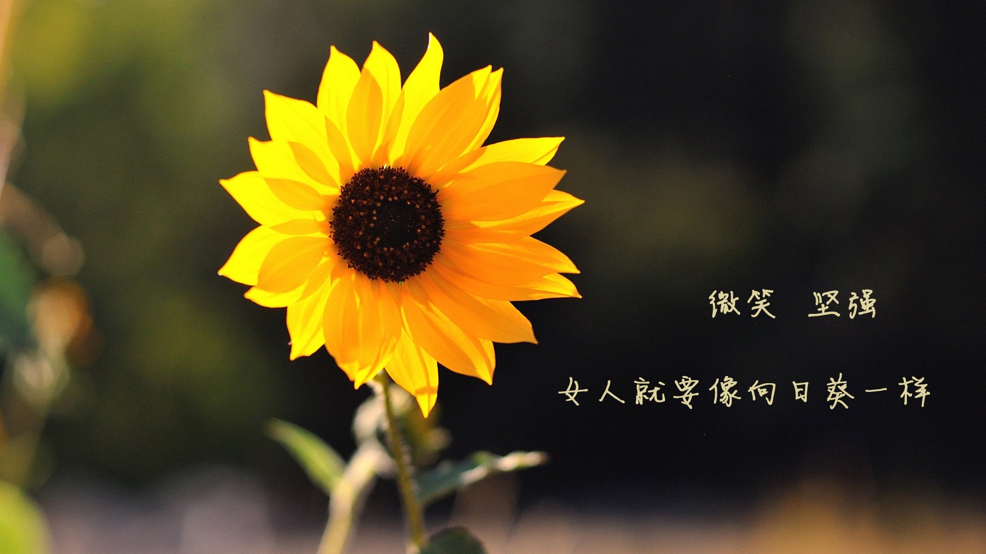 开云平台-跨洲征服与关键先生,亚特兰大远航奏凯,维尼修斯利刃出鞘