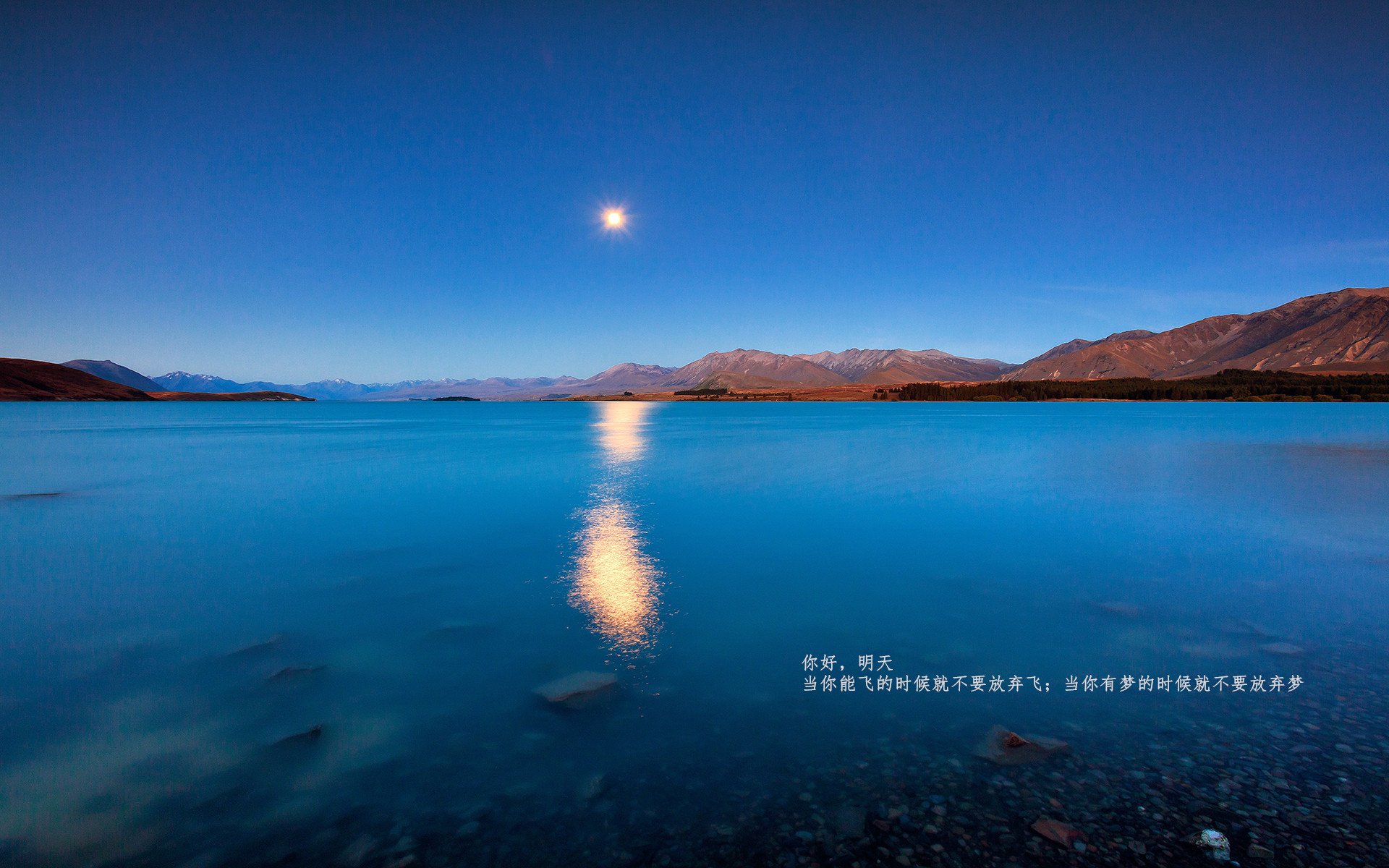开云体育登录-奥运烽火夜，福登点江山