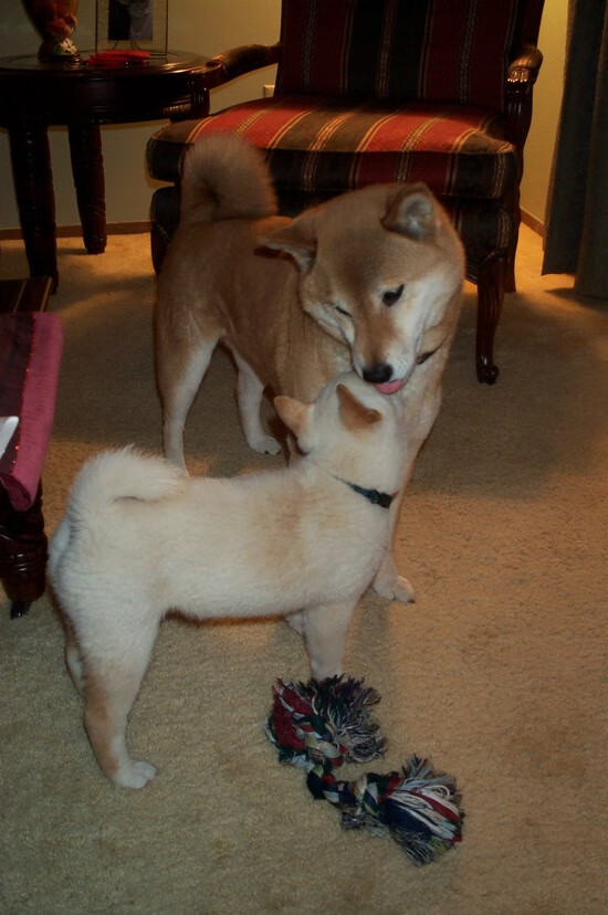 开云体育登录-金球加冕！本泽马半决赛之夜献封神表演