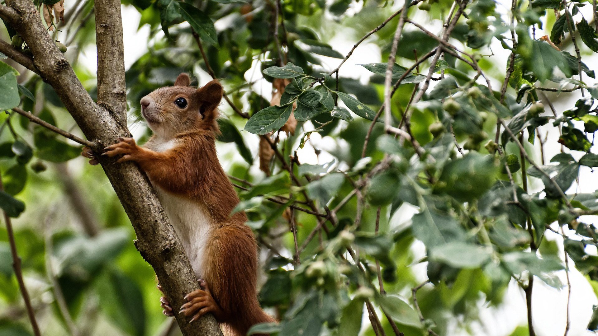 开云体育app-欧冠决赛的战术博弈，摩洛哥式防守如何压制阿根廷的华丽进攻
