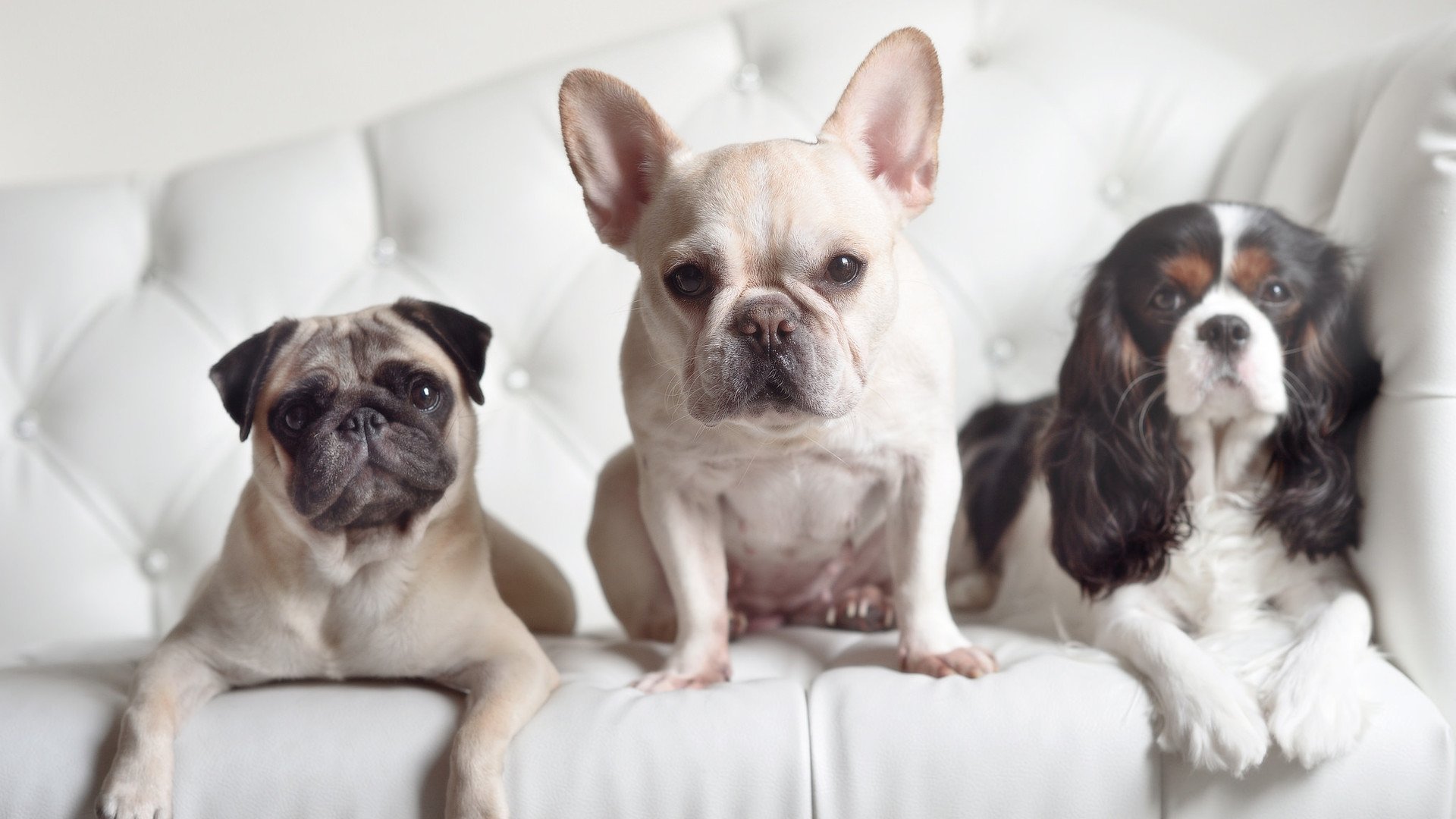 开云官网-北欧风暴席卷波斯湾，苏亚雷斯一锤定音，瑞典巅峰对决险胜卡塔尔