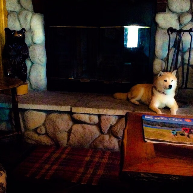 开云体育在线-当聚光灯灼热如昼，总决赛之夜，解析恩比德遇强则强的征服密码