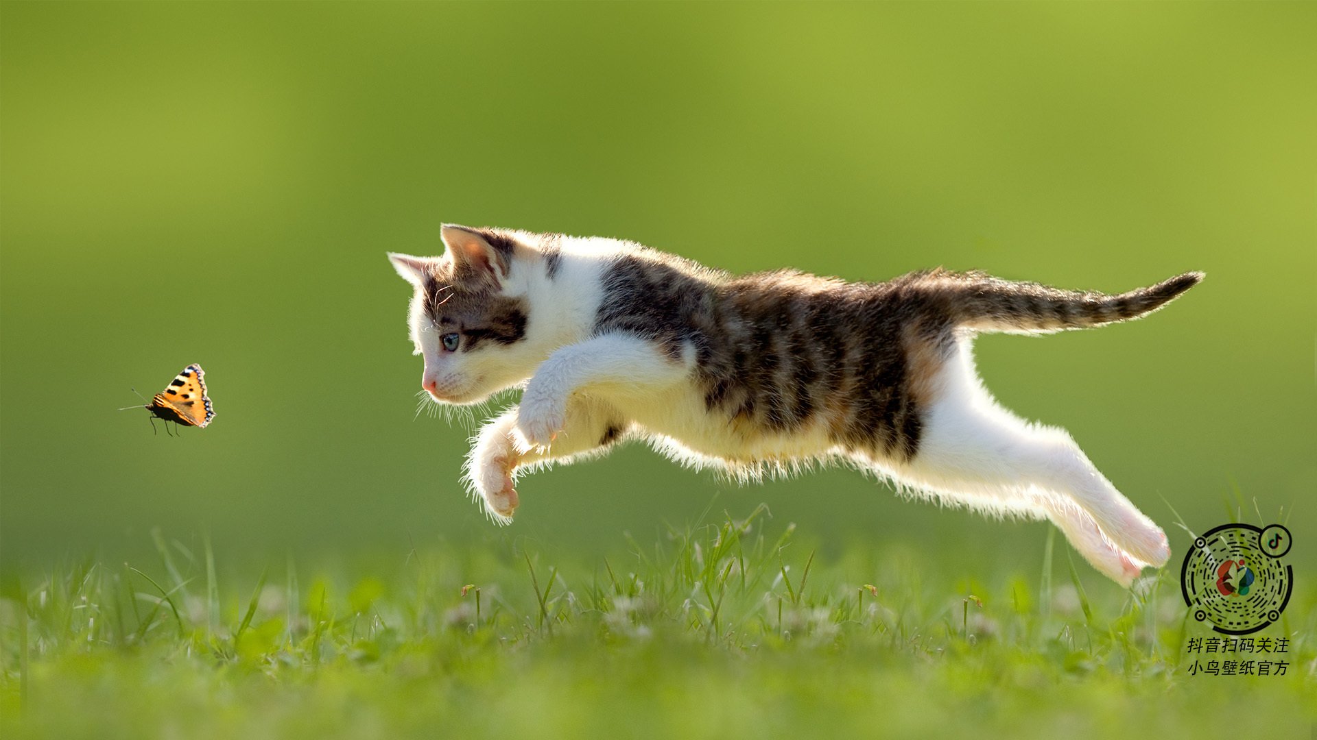 开云体育官网-舞台越大,伦纳德越强,热火对阵猛龙的巅峰对决与传奇演绎