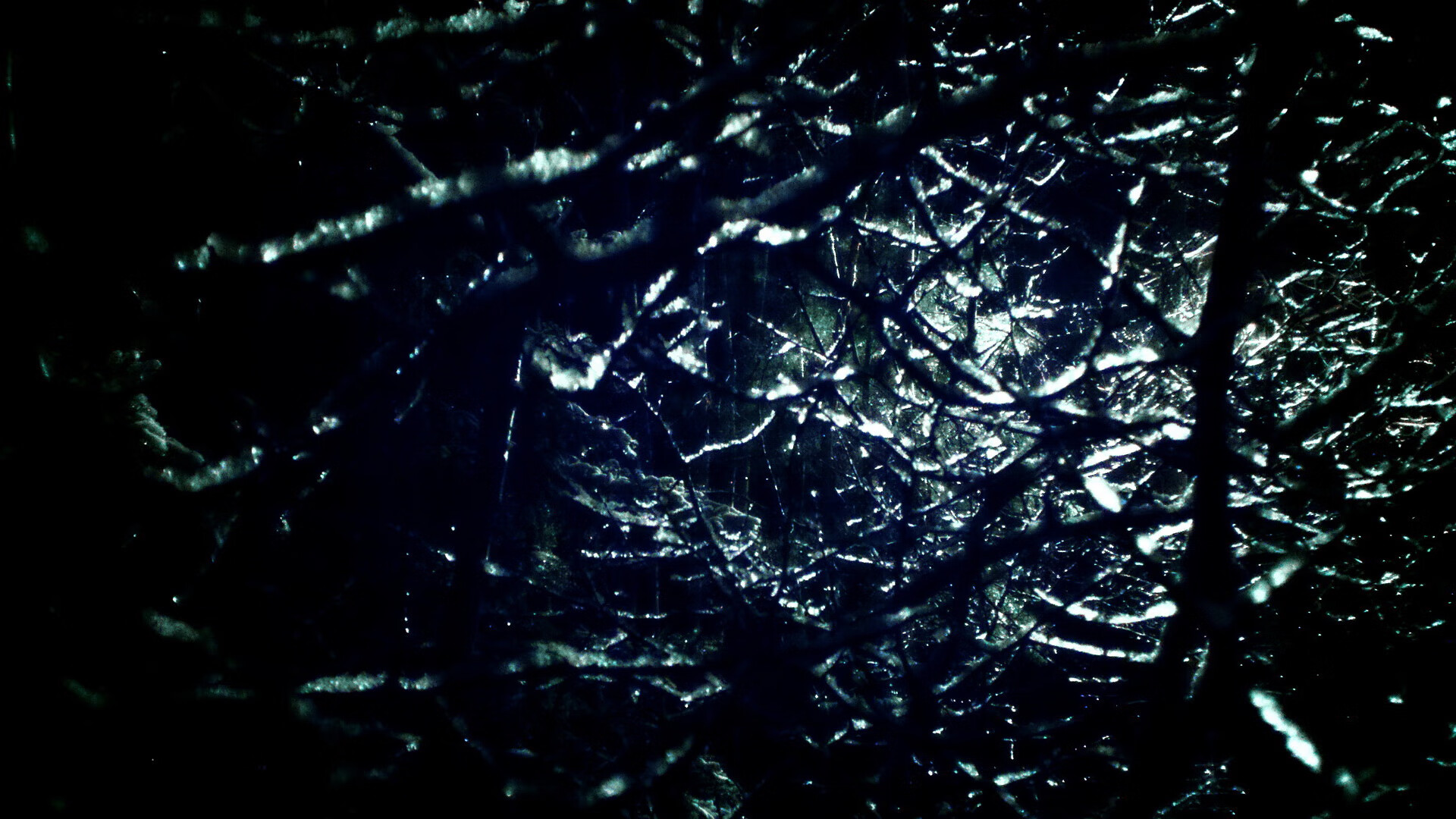 开云体育入口-欧冠决赛焦点战与太阳淘汰辽宁队，体育双星夜的激情交响